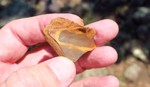 photo thumbnail #9