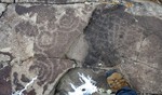 photo thumbnail #14