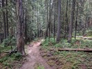 photo thumbnail #5