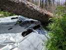 photo thumbnail #8