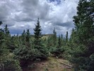 photo thumbnail #13