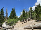 photo thumbnail #6
