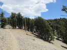photo thumbnail #8