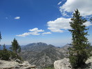 photo thumbnail #12