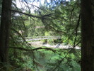 photo thumbnail #13
