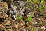 photo thumbnail #7