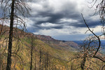 photo thumbnail #10