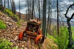 photo thumbnail #11