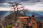 photo thumbnail #15
