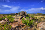 photo thumbnail #8