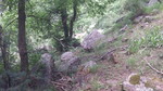photo thumbnail #11