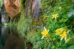 photo thumbnail #15