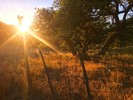 photo thumbnail #12
