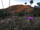 photo thumbnail #13