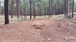 photo thumbnail #3