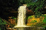 photo thumbnail #6