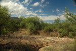 photo thumbnail #6