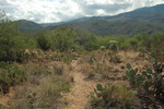 photo thumbnail #8
