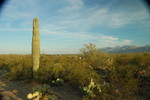 photo thumbnail #1