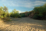 photo thumbnail #2