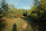photo thumbnail #3