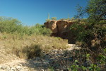 photo thumbnail #5
