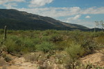 photo thumbnail #7