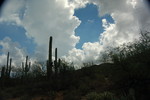 photo thumbnail #10