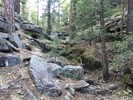 photo thumbnail #1