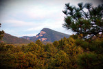 photo thumbnail #7