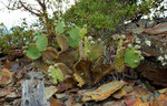 photo thumbnail #12