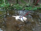 photo thumbnail #11