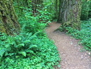 photo thumbnail #5