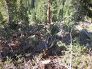 photo thumbnail #10