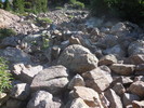 photo thumbnail #11