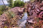 photo thumbnail #8