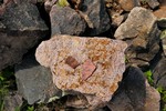 photo thumbnail #12