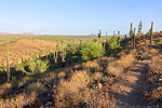 photo thumbnail #6