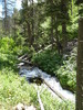 photo thumbnail #9