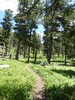 photo thumbnail #11