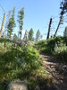 photo thumbnail #3