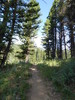 photo thumbnail #5