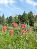 photo thumbnail #9