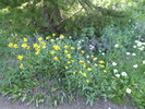 photo thumbnail #15