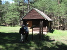 photo thumbnail #11