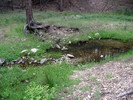 photo thumbnail #15