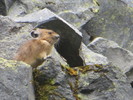 photo thumbnail #2