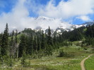 photo thumbnail #12