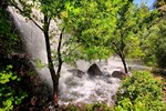 photo thumbnail #6