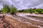 photo thumbnail #12